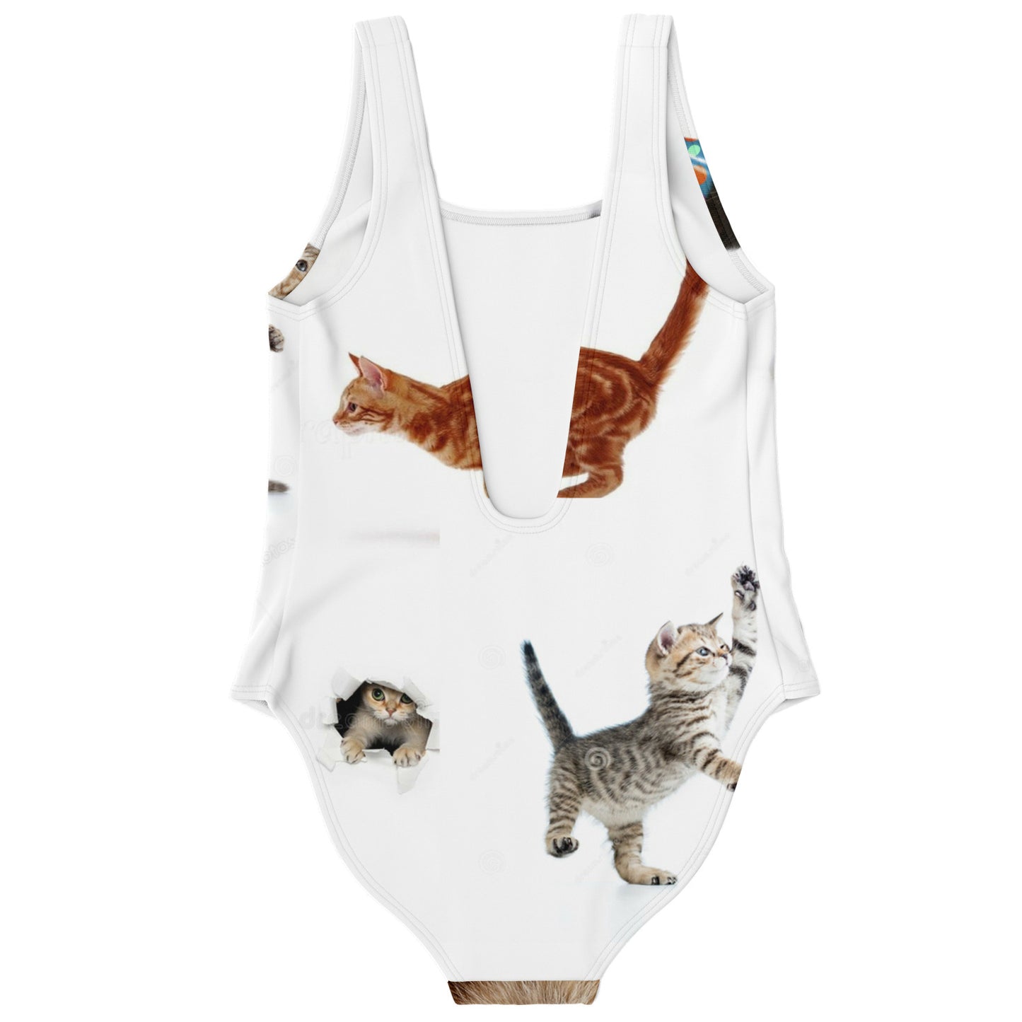 Cats women swimsuit
