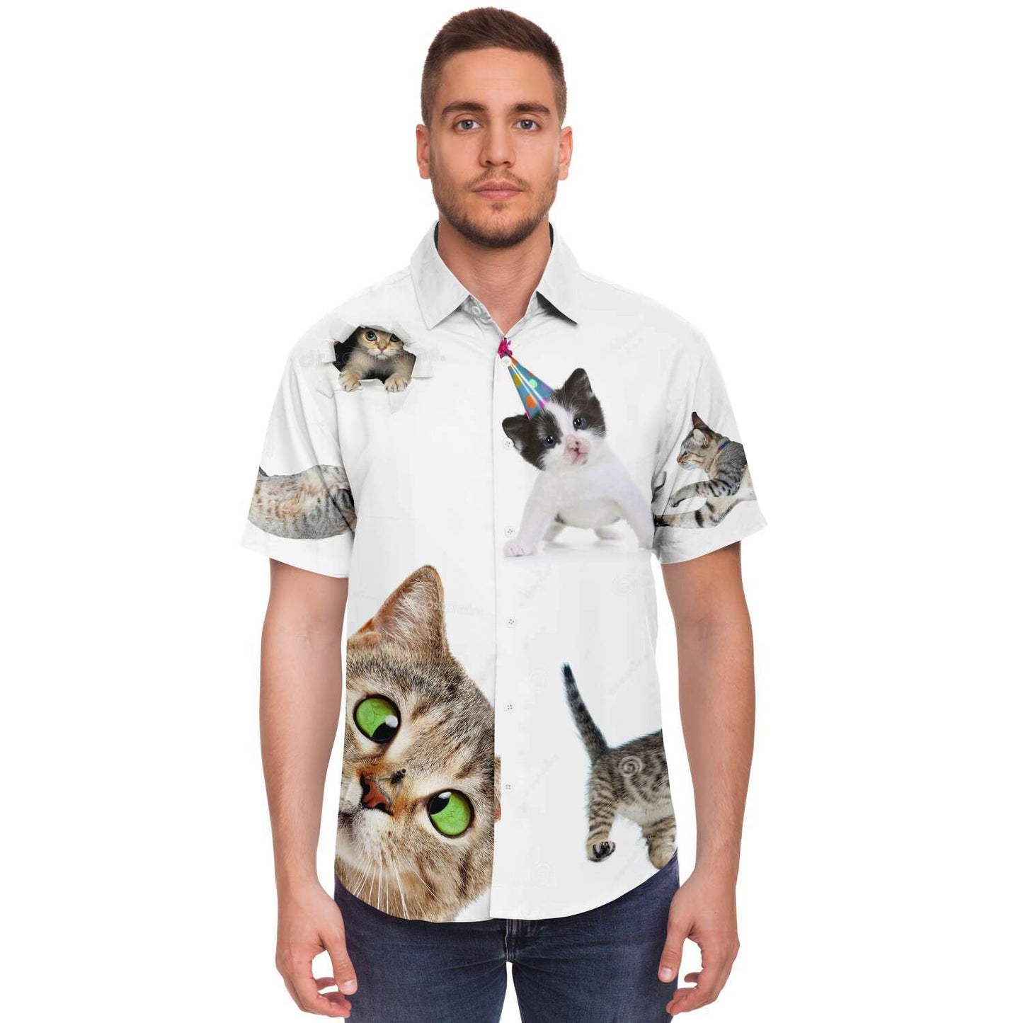 Cat shirt
