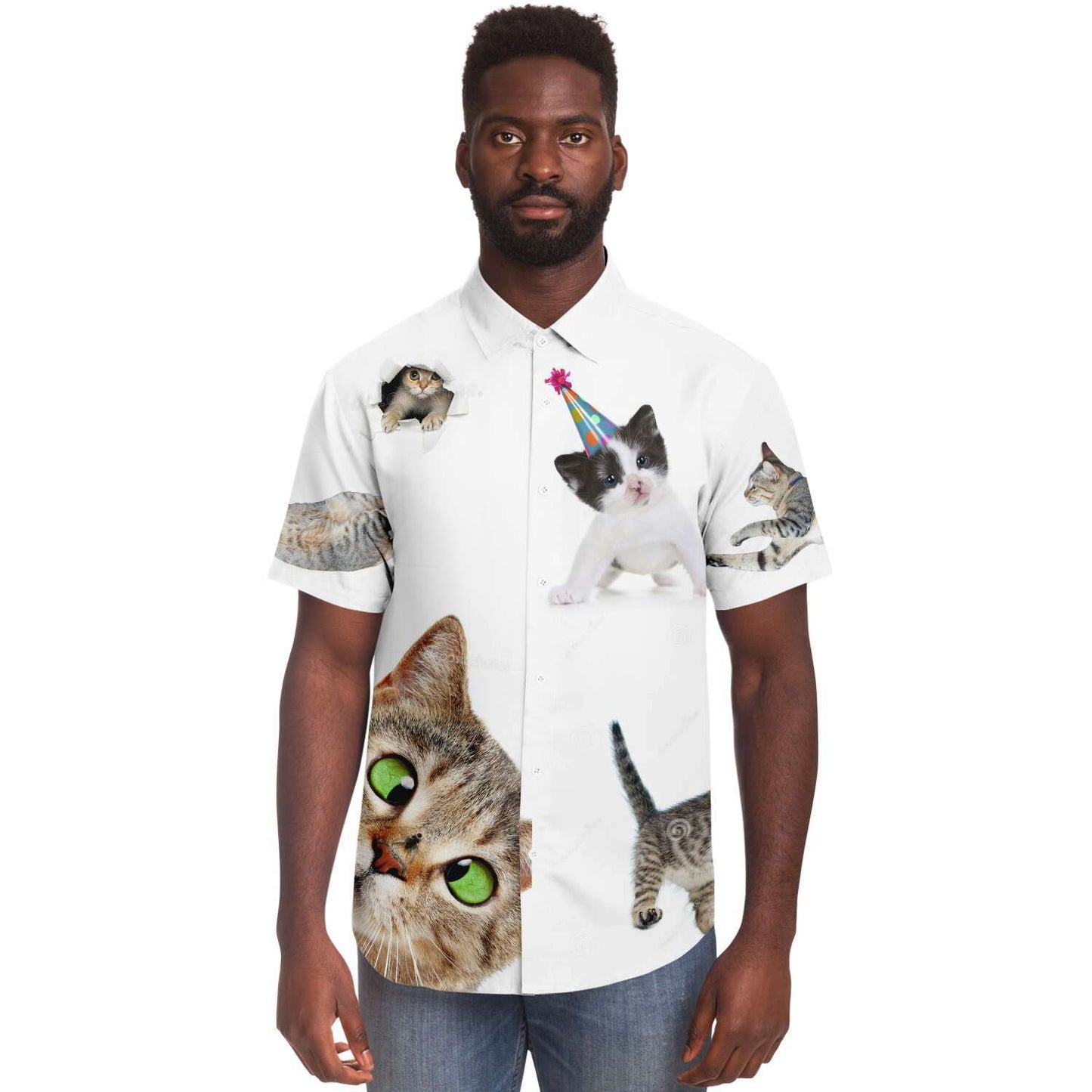 Cat shirt