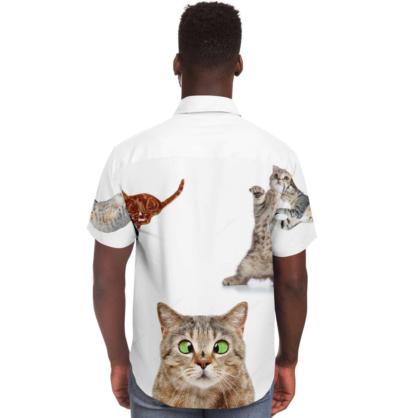 Cat shirt