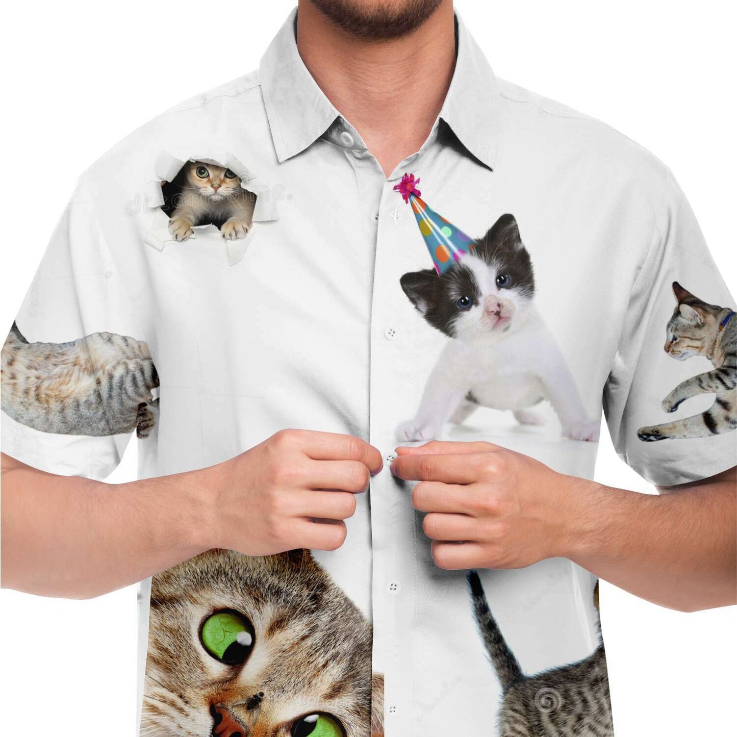Cat shirt