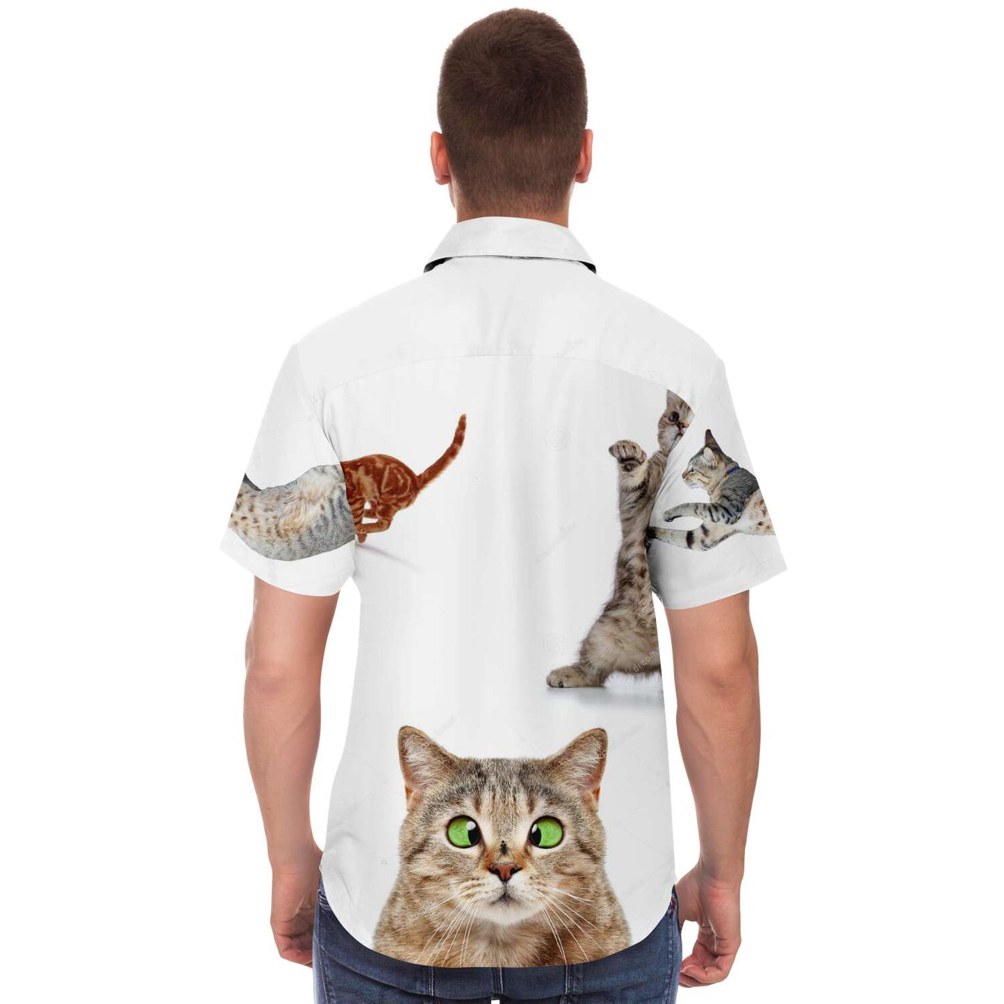 Cat shirt