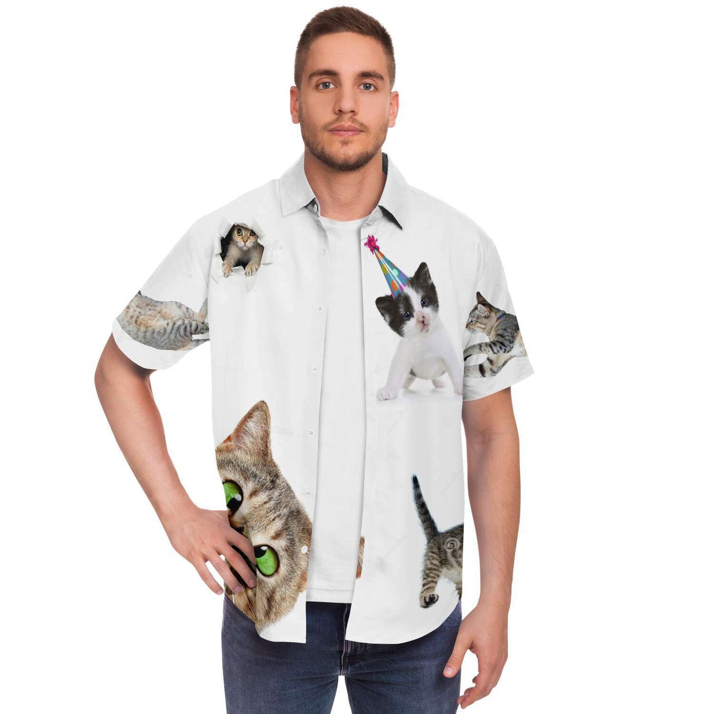 Cat shirt