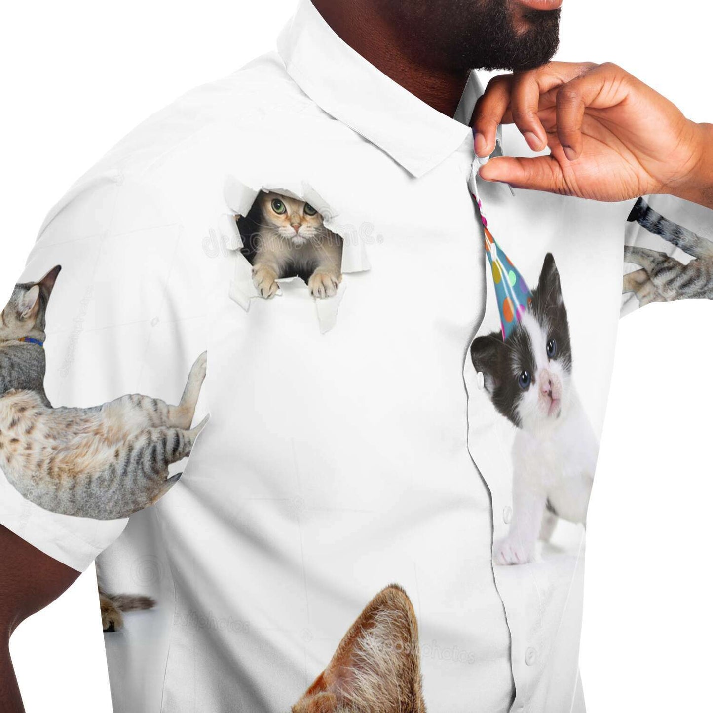 Cat shirt
