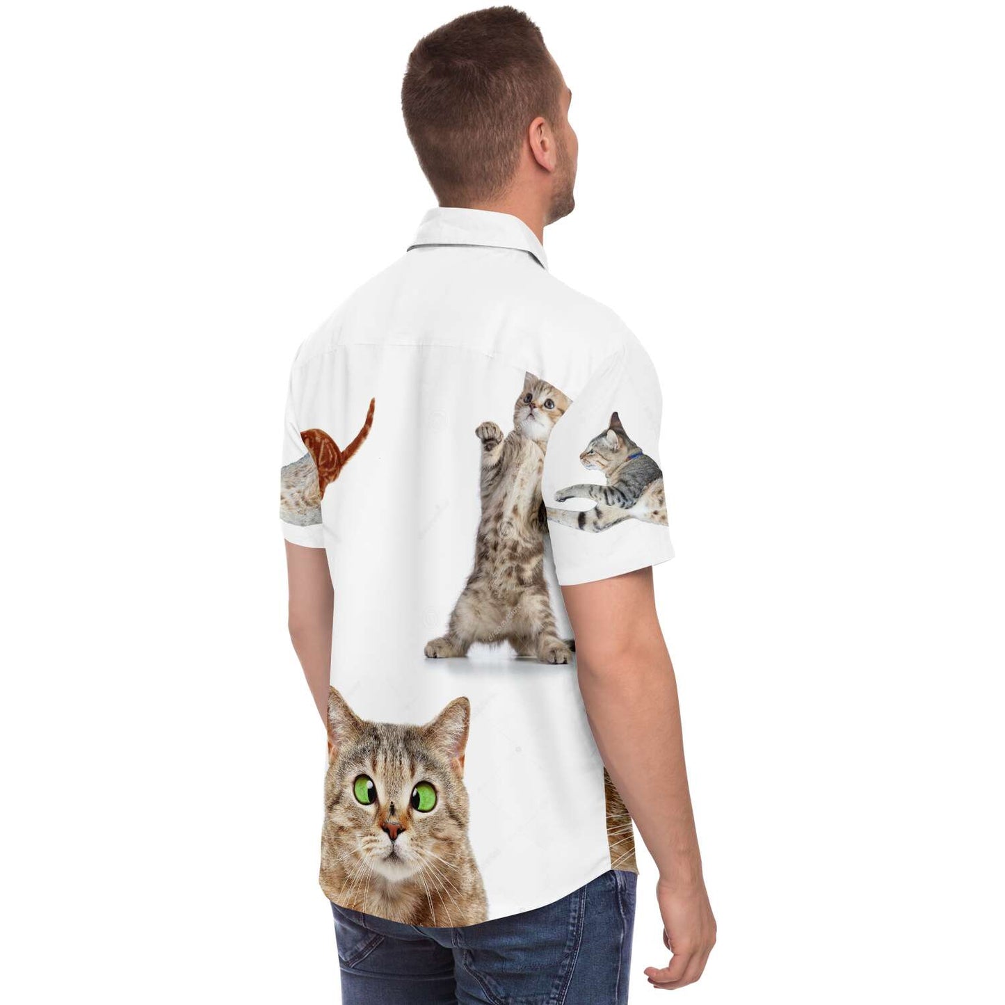 Cat shirt