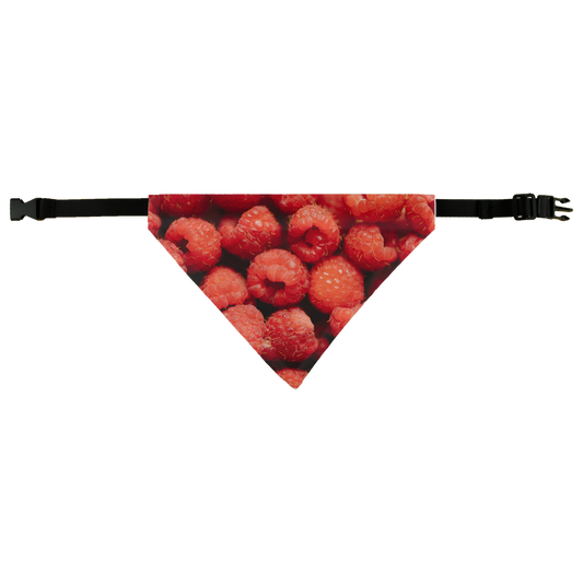 Raspberry Pet Bandana