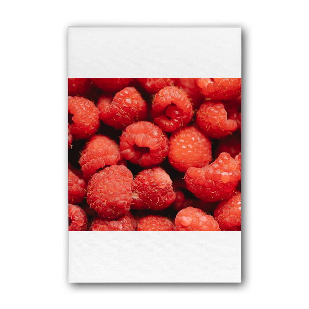 Raspberry Premium Stretched Canvas