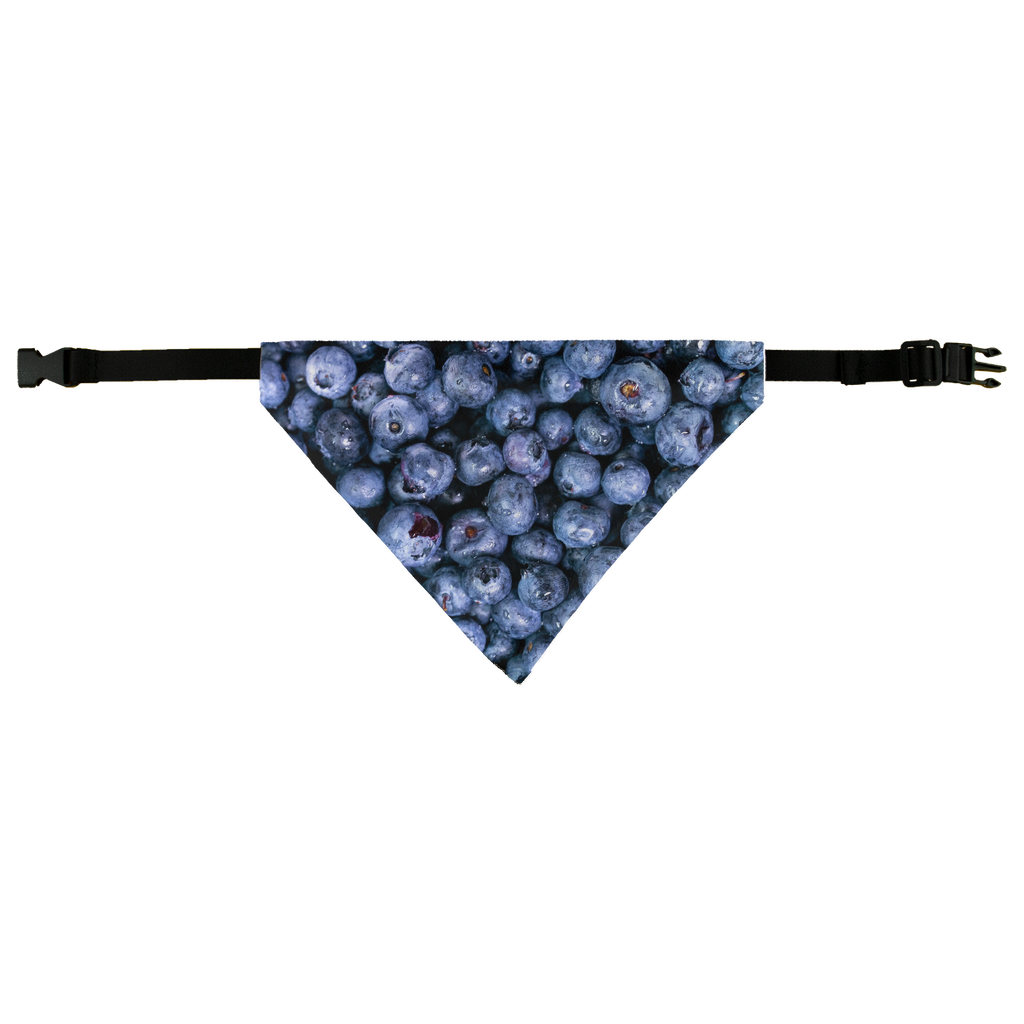 Blueberry Pet Bandana