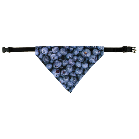 Blueberry Pet Bandana