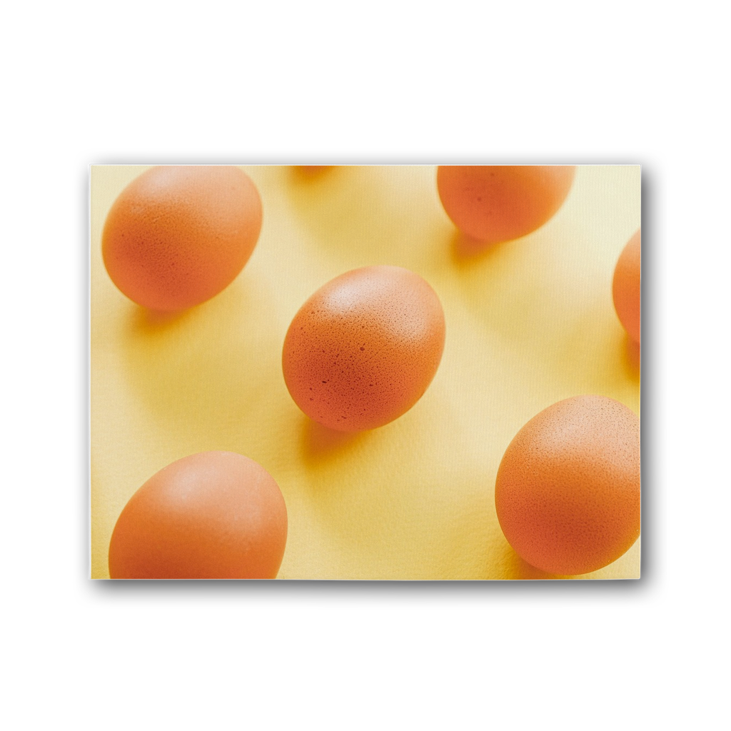 Eggs Premium Stretched Canvas