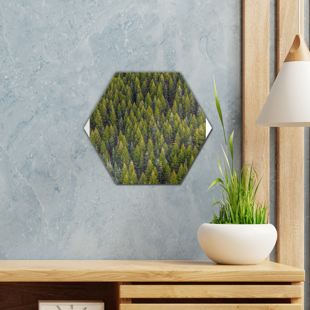 Forest Wall Tile