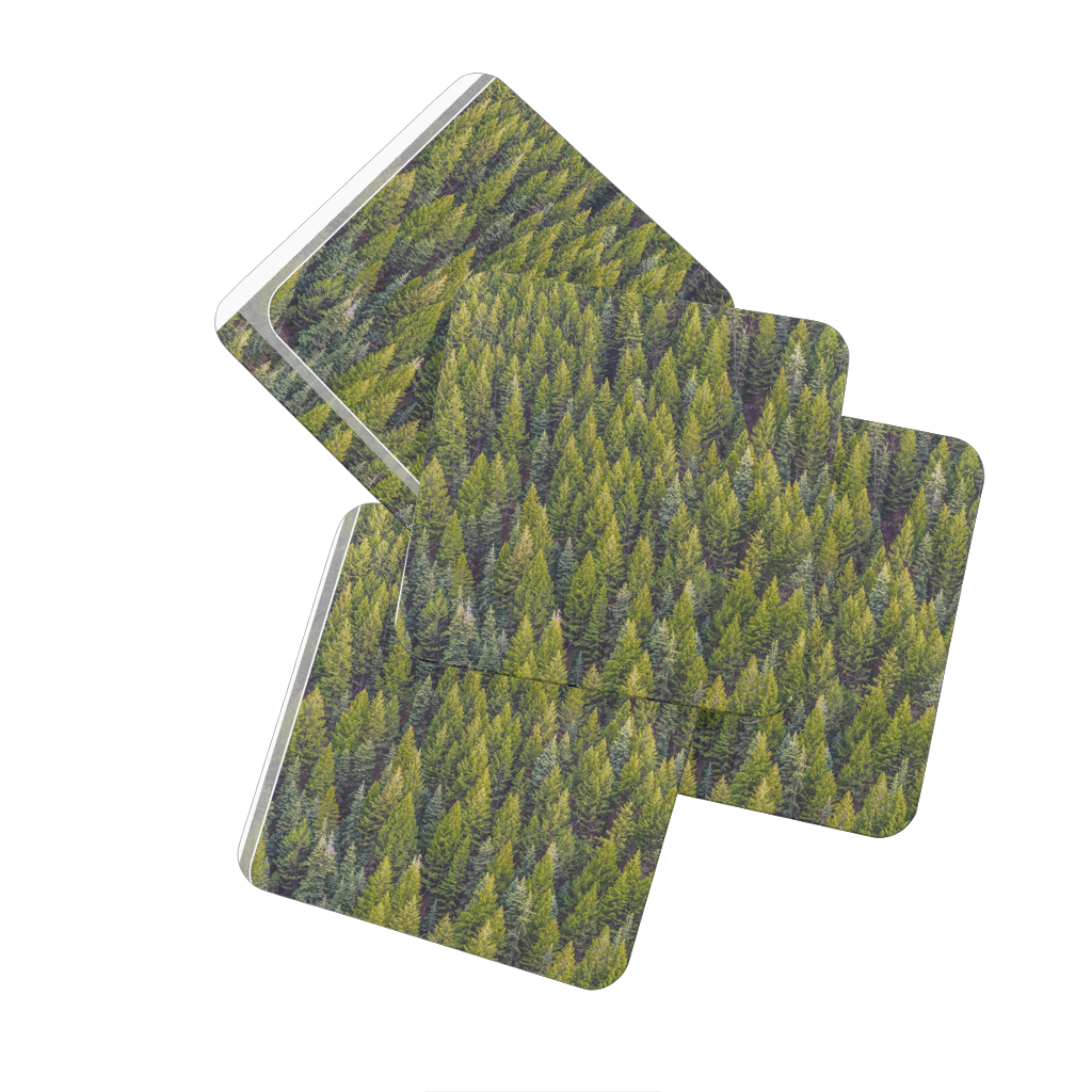 Forest Hardboard Coaster Set of 4