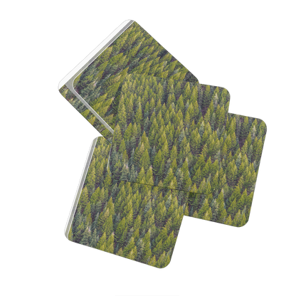 Forest Hardboard Coaster Set of 4