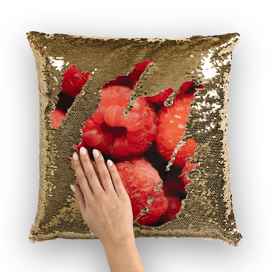 Raspberry Sequin Cushion Cover