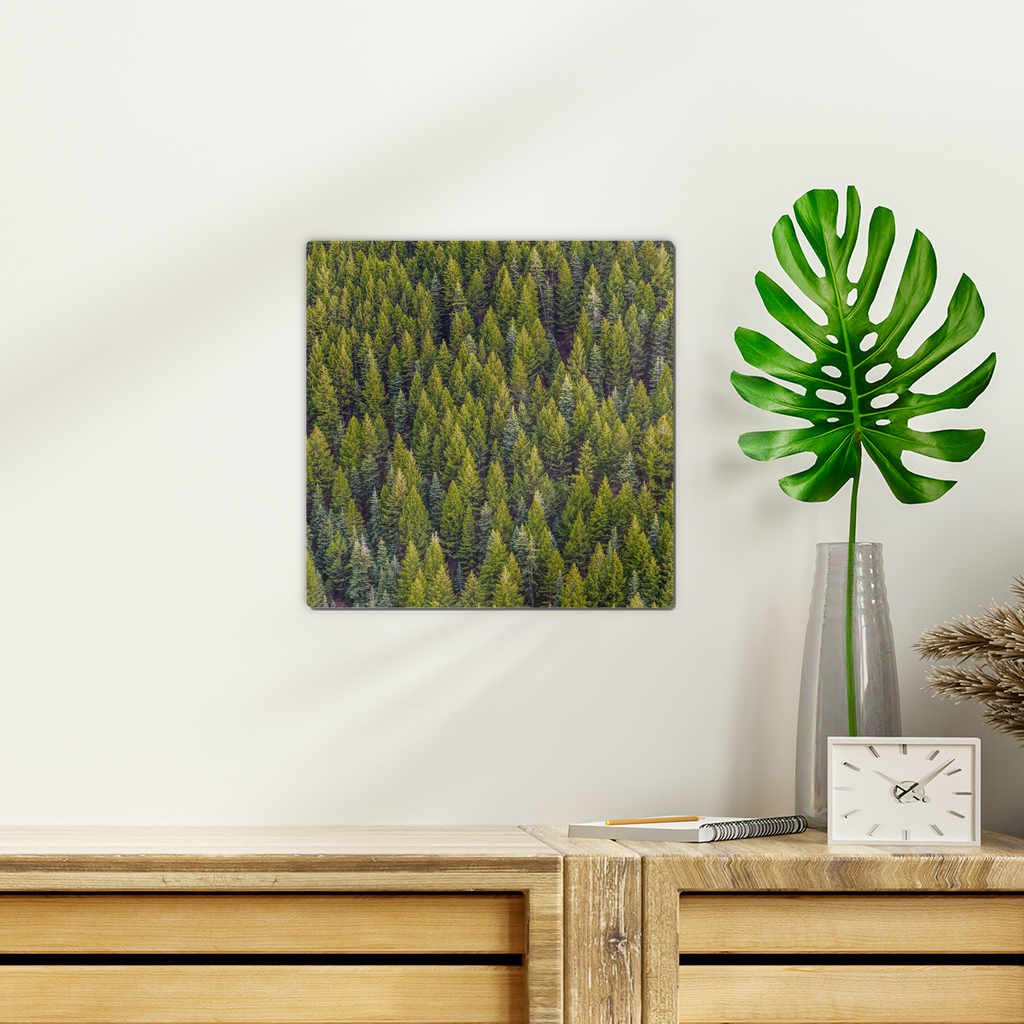 Forest Wall Tile