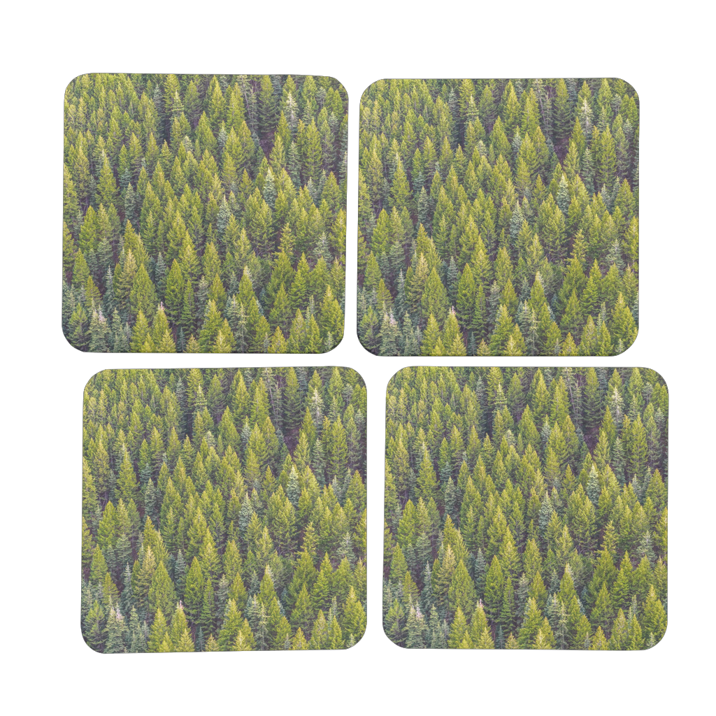 Forest Hardboard Coaster Set of 4