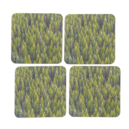 Forest Hardboard Coaster Set of 4