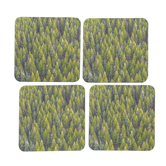 Forest Hardboard Coaster Set of 4