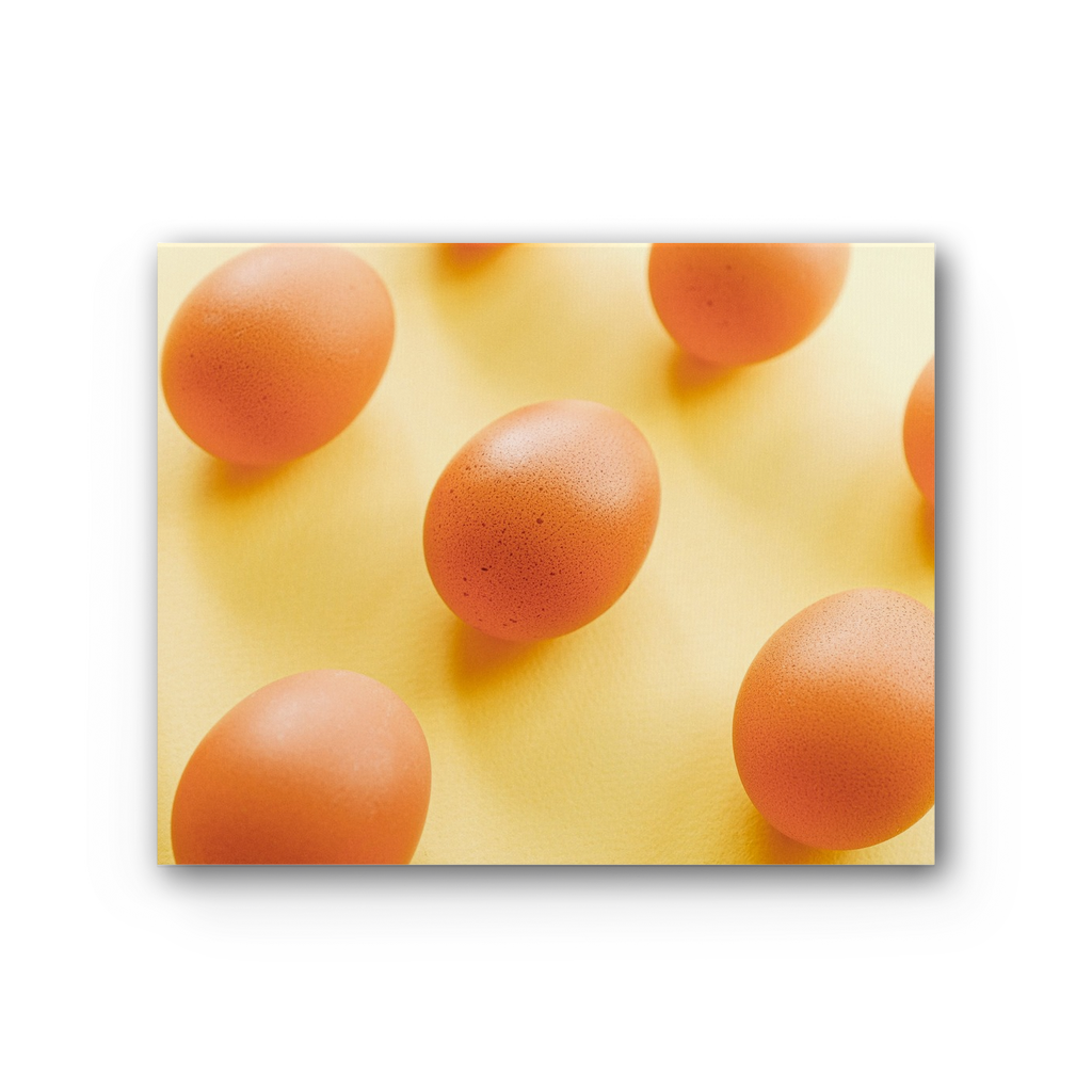 Eggs Premium Stretched Canvas