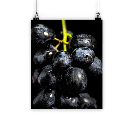 Grapes Classic Poster