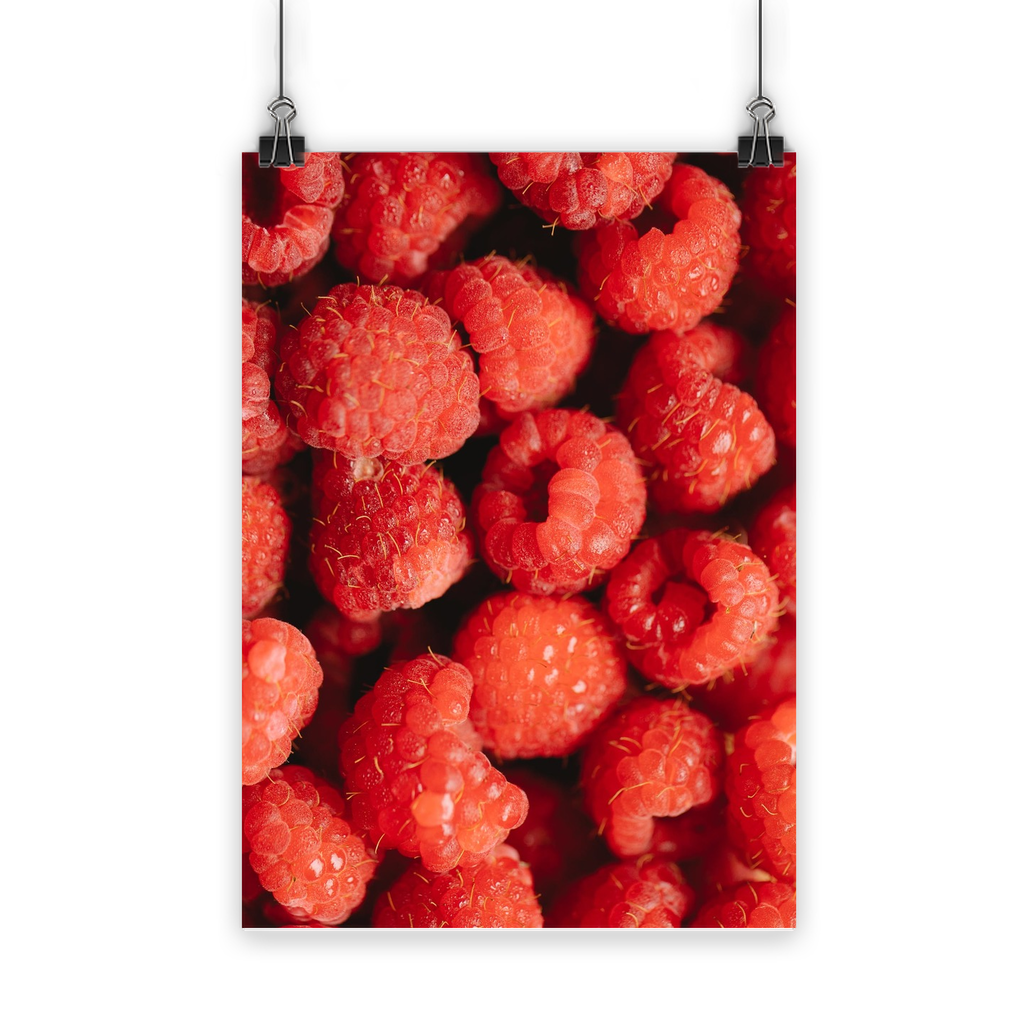 Raspberry Classic Poster