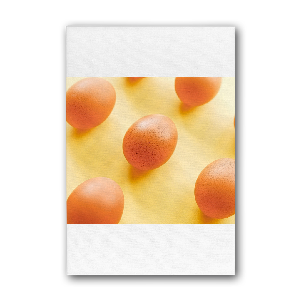 Eggs Premium Stretched Canvas