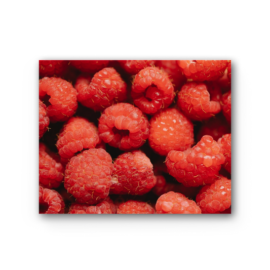 Raspberry Premium Stretched Canvas