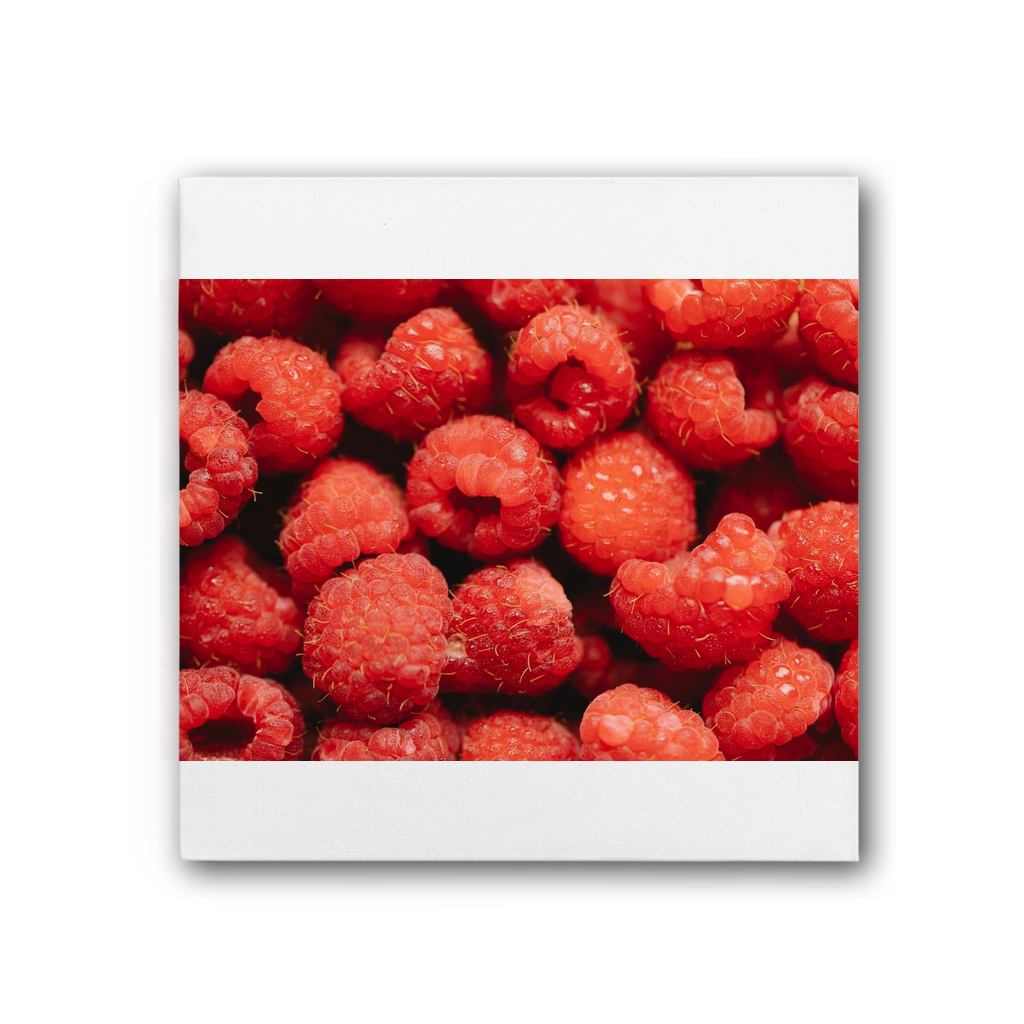 Raspberry Premium Stretched Canvas