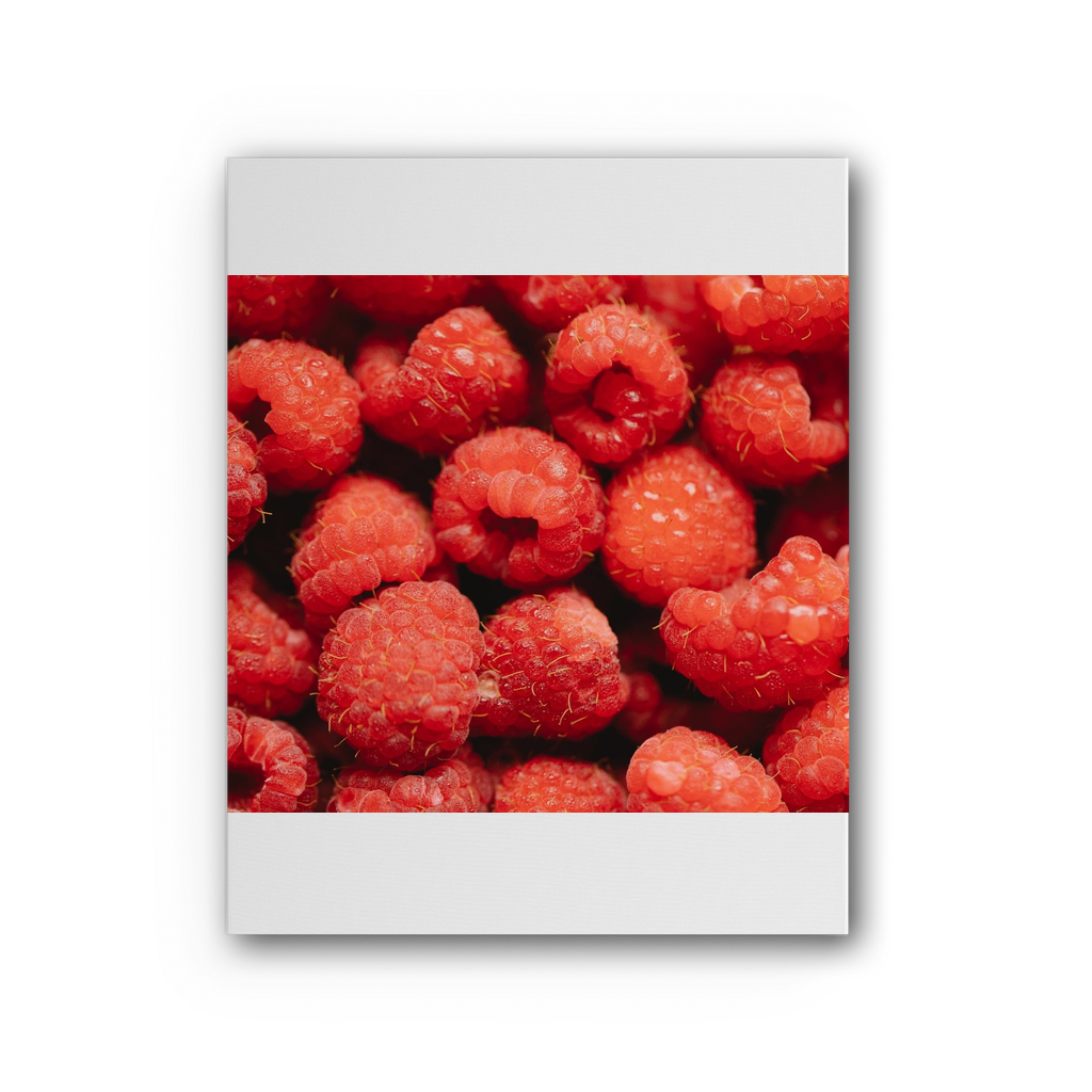 Raspberry Premium Stretched Canvas