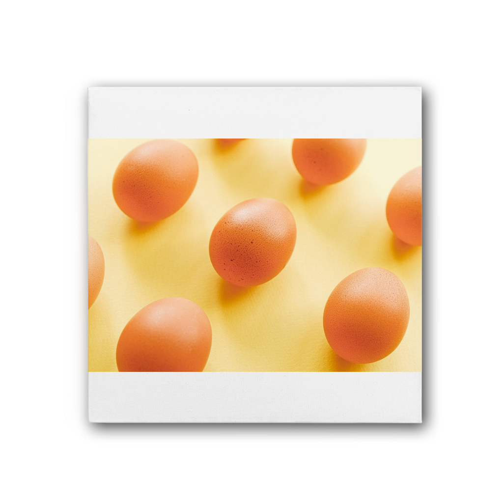 Eggs Premium Stretched Canvas