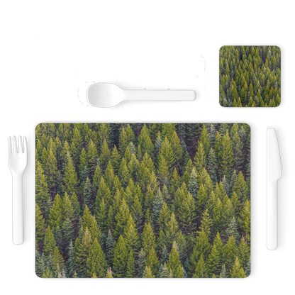 Forest Single Placemat and Coaster Set