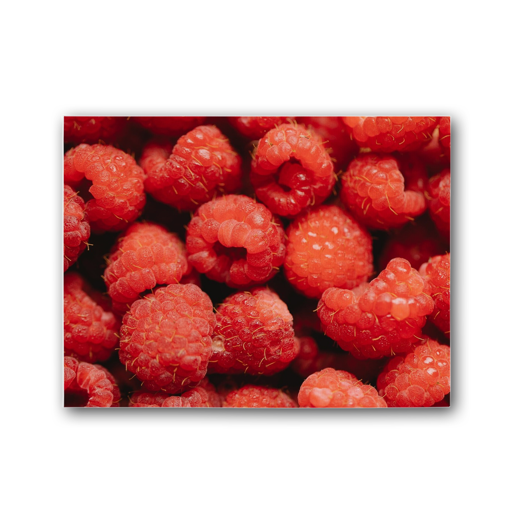 Raspberry Premium Stretched Canvas