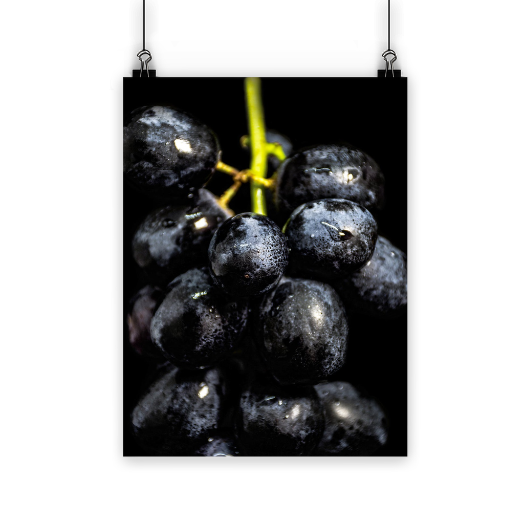 Grapes Classic Poster