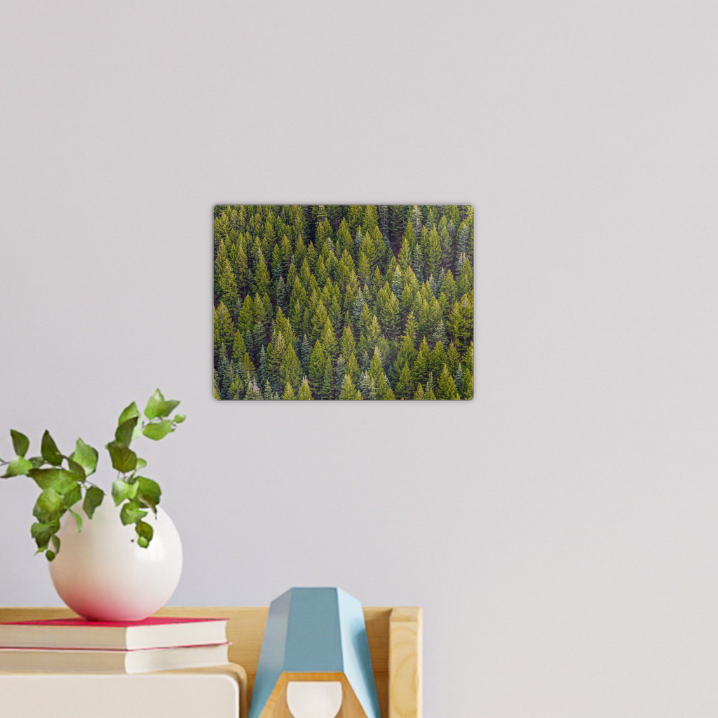 Forest Wall Tile